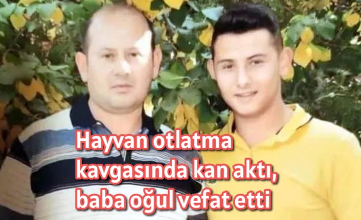Hayvan otlatma merhaba kan aktı baba oğul vefat etti 