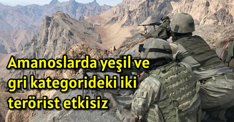 Amanoslarda yeşil ve gri kategorideki iki terörist etkisiz