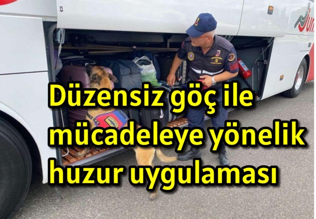 Düzensiz göç ile mücadeleye yönelik huzur uygulaması yapıldı 