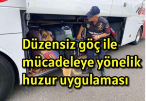 Düzensiz göç ile mücadeleye yönelik huzur uygulaması yapıldı 