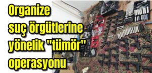 Organize suç örgütlerine yönelik “tümör” operasyonu başlatıldı