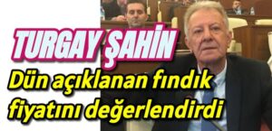 CHP Trabzon Meclis üyesi Turgay Şahin fındık fiyatını değerlendirdi