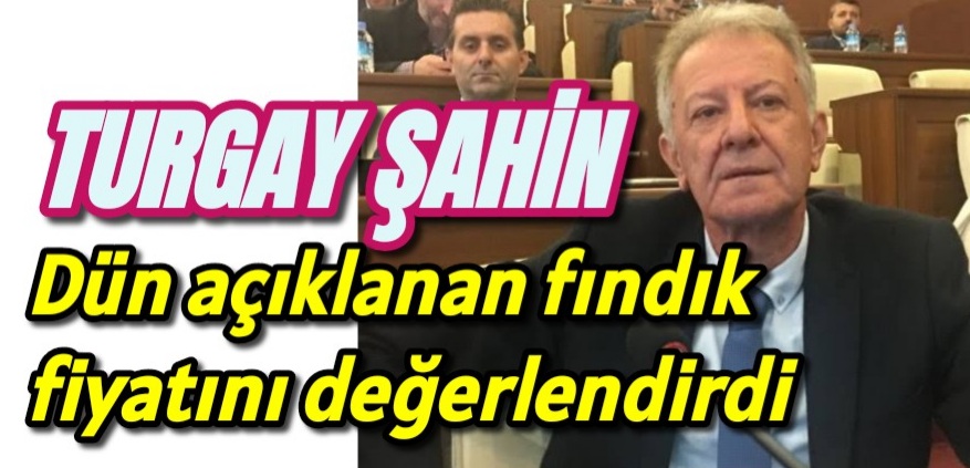 CHP Trabzon Meclis üyesi Turgay Şahin fındık fiyatını değerlendirdi