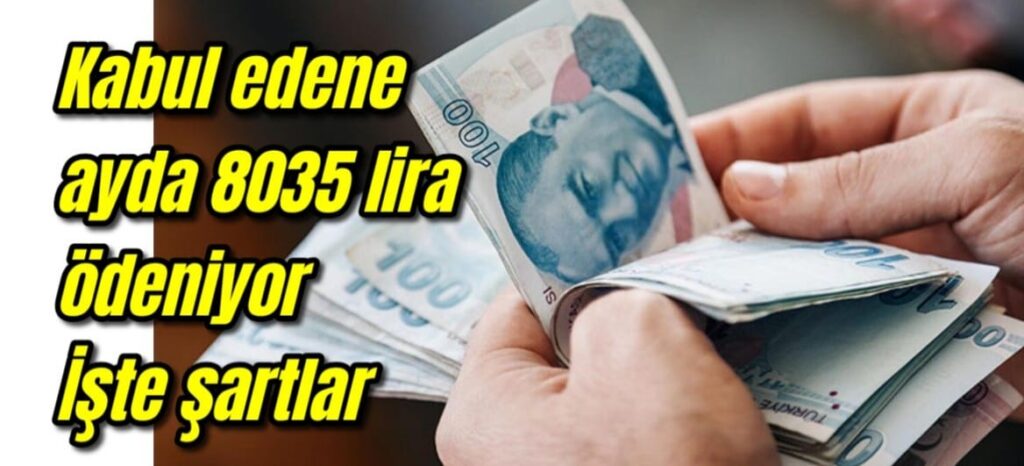 Kabul edene ayda 8035 lira ödeniyor aranan şartlar neler?
