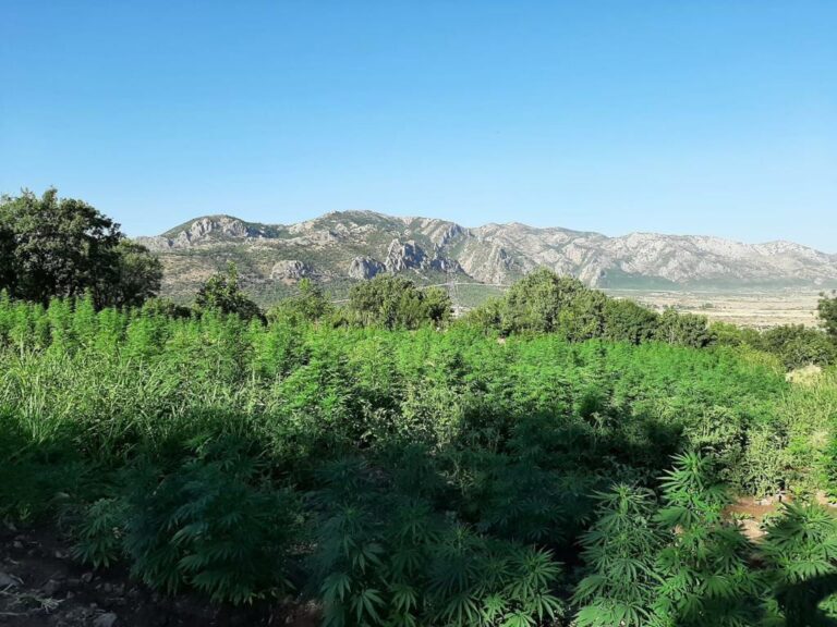 Eren Abluka-23 Şehit Jandarma Astsubay kıdemli Çavuş Ümmet Ufacık narko terör operasyonu başlatıldı