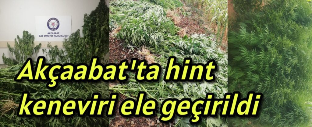 Akçaabat’ta hint keneviri ele geçirildi