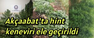 Akçaabat’ta hint keneviri ele geçirildi