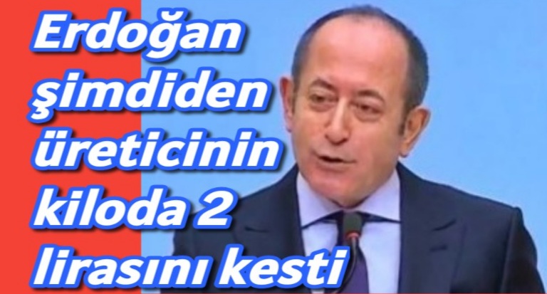 Erdoğan şimdiden üreticinin kiloda 2 lirasını kesti