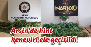 Arsin’de hint keneviri ele geçirildi 