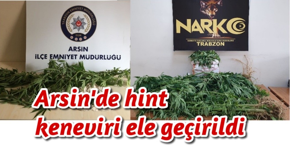 Arsin’de hint keneviri ele geçirildi 