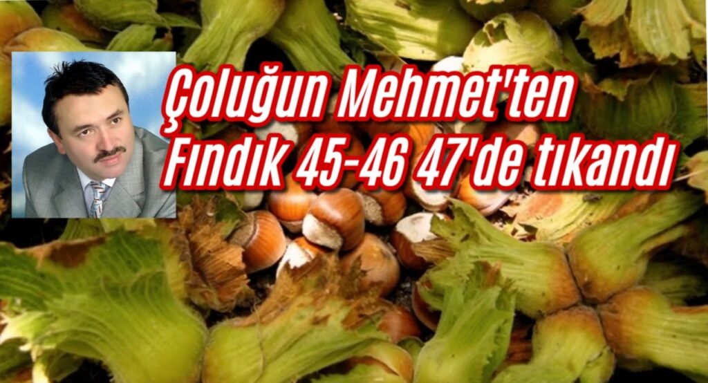 Çoluğun Mehmet’ten fındık 45-46 47’de tıkandı 