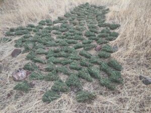 Eren Abluka 34 narko terör operasyonlarında terör örgütünün finansman kaynağına darbe vuruldu