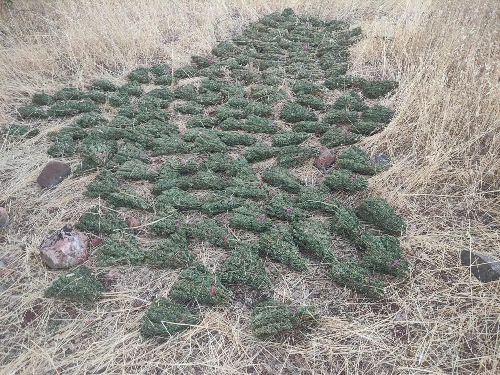 Eren Abluka 34 narko terör operasyonlarında terör örgütünün finansman kaynağına darbe vuruldu