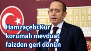 Hamzaçebi:Kur korumalı mevduat faizden geri dönün   