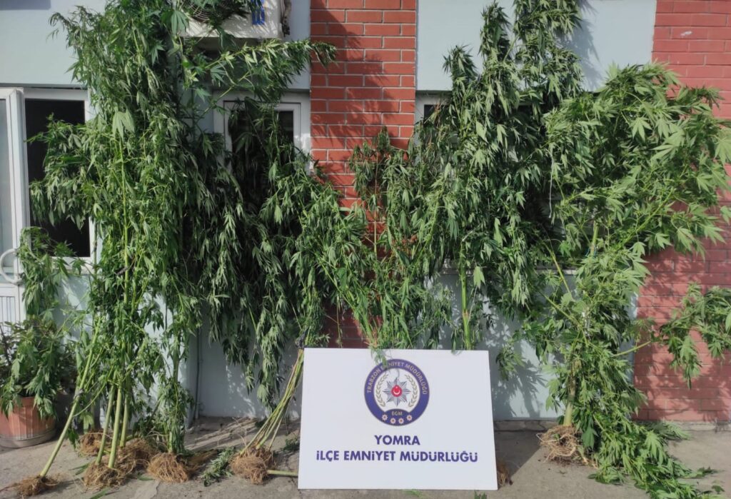 Yomra’da hint keneviri ele geçirildi 