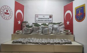 Diyarbakır’da 1 milyon 493 bin kök kenevir İle 337 bin kök skunk ele geçirildi.