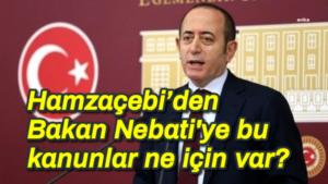 Akif Hamzaçebi’den Bakan Nebati’ye bu kanunlar ne için var?