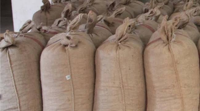 1.5 ton fındık çalan hırsız yakalandı 