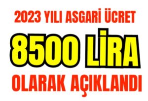 Cumhurbaşkanı  Erdoğan, ”Asgari ücret net 8.500 TL olarak belirlendi” dedi.