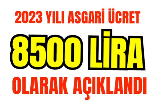 Cumhurbaşkanı  Erdoğan, ”Asgari ücret net 8.500 TL olarak belirlendi” dedi.