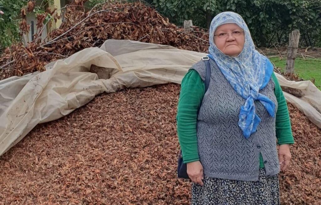 TMO fındığımı geri versin