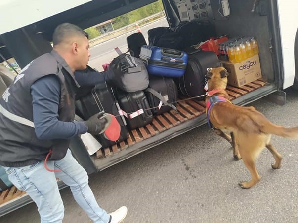 Eskişehir’de Jandarma ekiplerinden aranan şahıslara operasyon