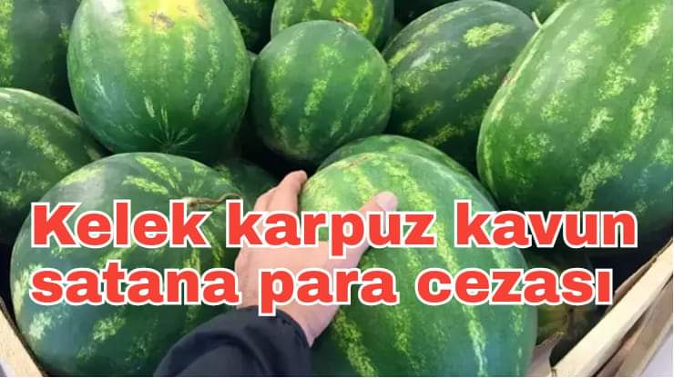Kelek karpuz, kavun satana para cezası