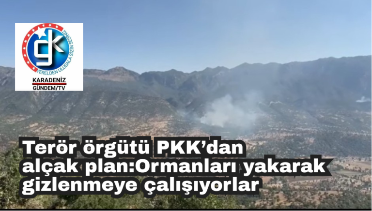 Terör örgütü PKK’dan alçak plan: Ormanları yakarak gizlenmeye çalışıyorlar