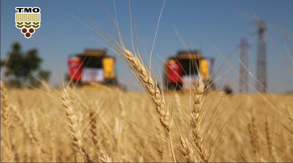 Ahmet Güldal:Açıklanan buğday alım fiyatlarının desteklerle birlikte maliyetin oldukça üzerinde