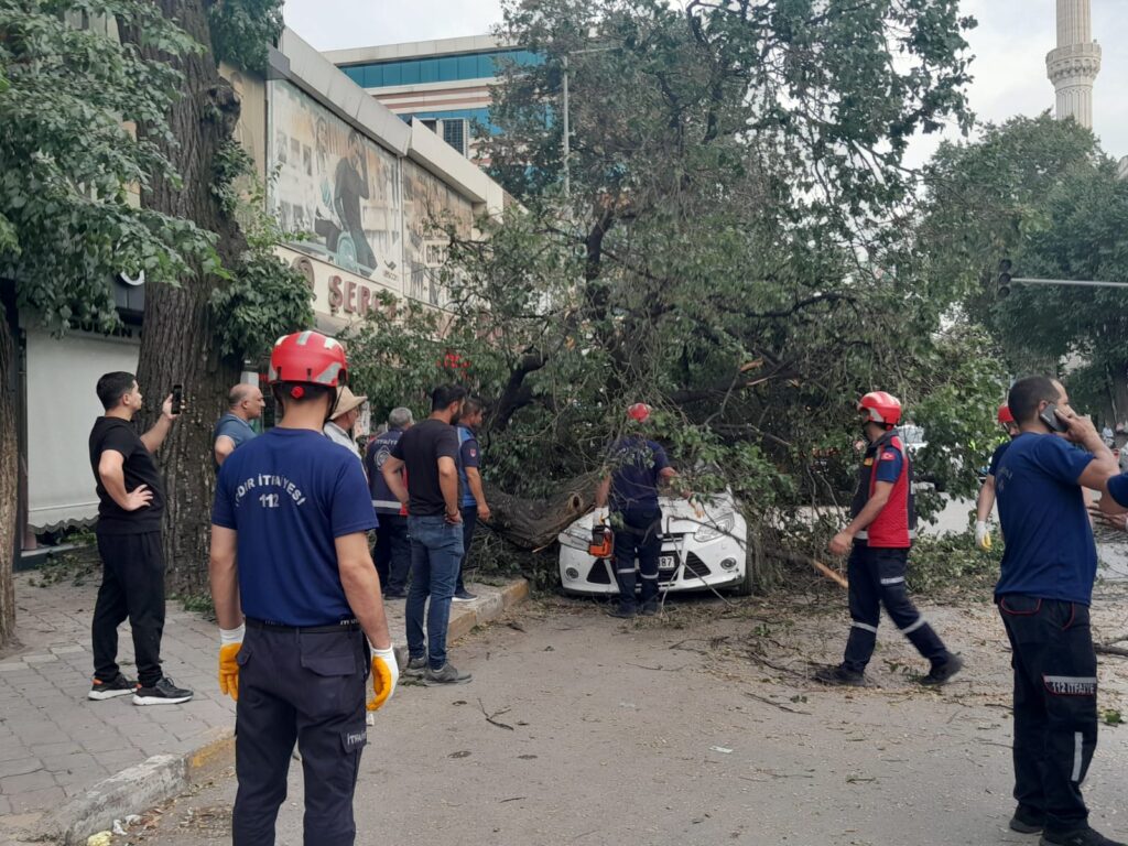 Asırlık ağaç aracın üzerine devrildi faciadan dönüldü