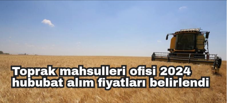 Toprak mahsulleri ofisi 2024 hububat alım fiyatları belirlendi