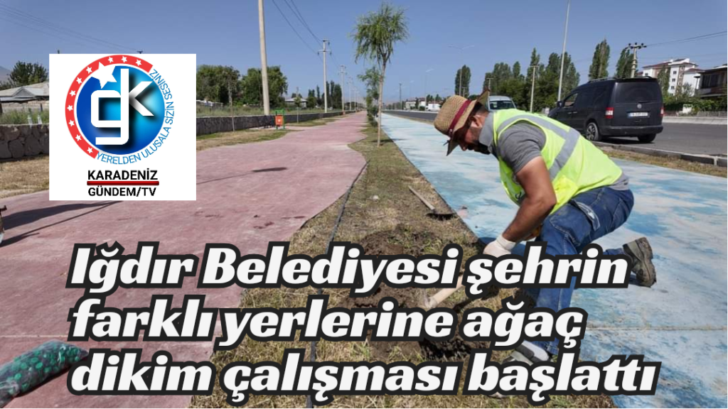 Iğdır Belediyesi şehrin farklı yerlerine ağaç dikim çalışması başlattı