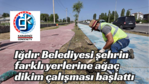 Iğdır Belediyesi şehrin farklı yerlerine ağaç dikim çalışması başlattı