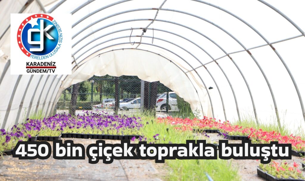 450 bin çiçek toprakla buluştu