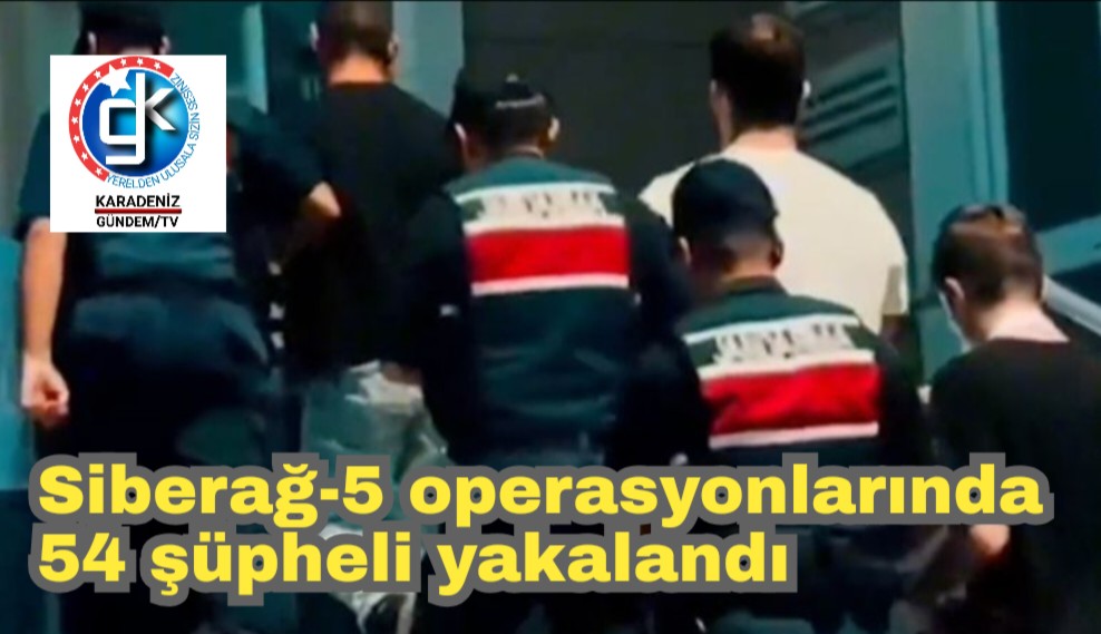 Siberağ-5 operasyonlarında 54 şüpheli yakalandı