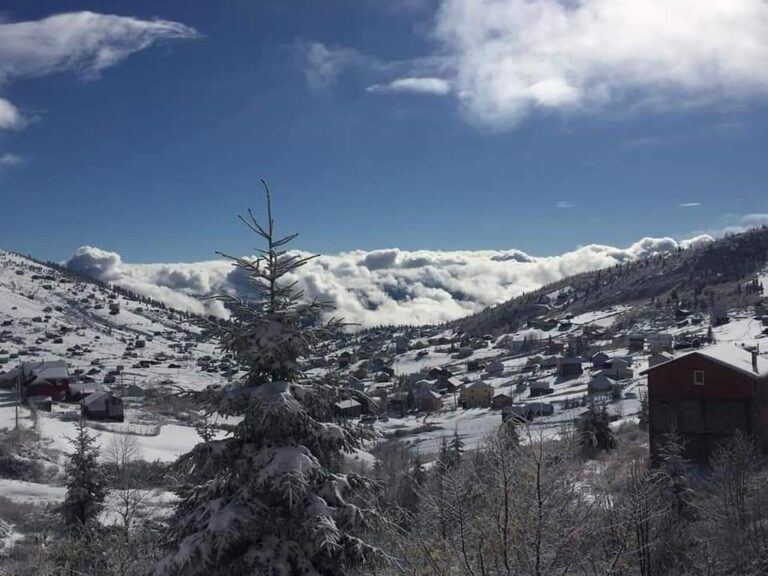 Doğu Karadeniz’in iç kesimlerinde kar yağışı bekleniyor