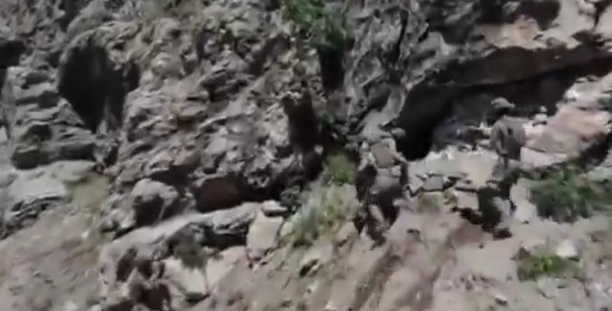 16 PKK/YPG’li teröristi etkisiz hâle getirildi