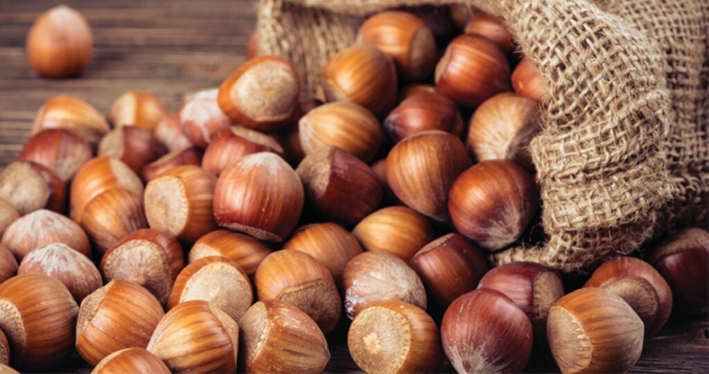 TMO Kabuklu fındık satışlarına başlıyor