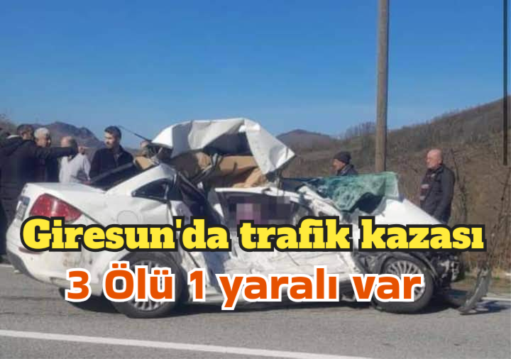 Giresun’da trafik kazası