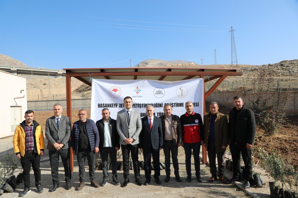 Hasankeyf’te zeytin yetiştiriciliği projesi kapsamında 10 bin zeytin fidan dağıtımı yapıldı