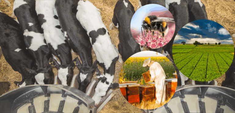 5.1 Milyar liralık destekleme ödemesi bugün hesaplarda olacak