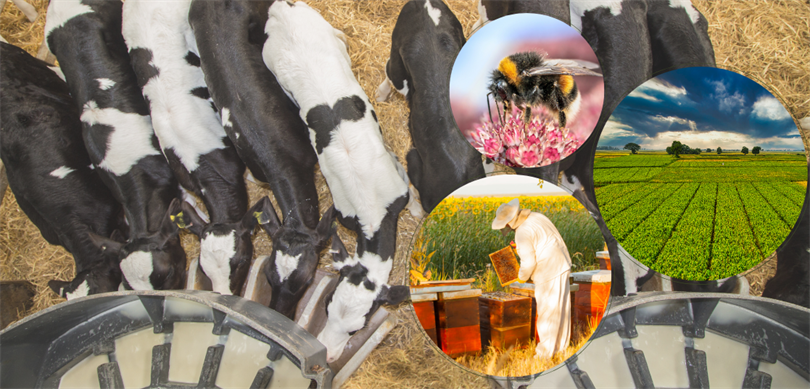 5.1 Milyar liralık destekleme ödemesi bugün hesaplarda olacak