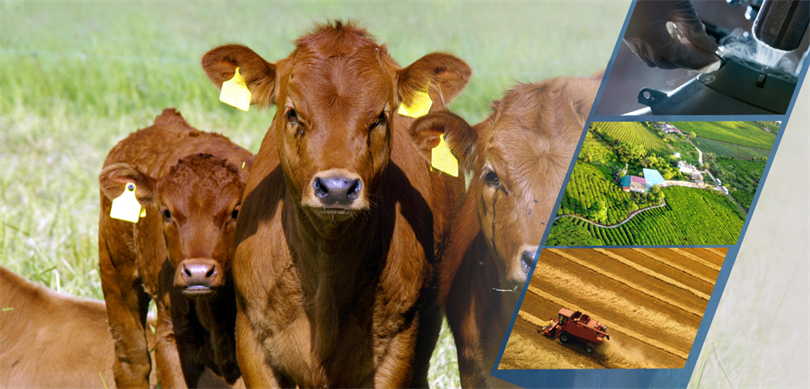 3.3 Milyar liralık destekleme ödemesi hesaplara yattı