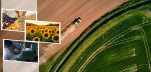 86 Milyon liralık tarımsal destekleme ödemesi hesaplara yattı 