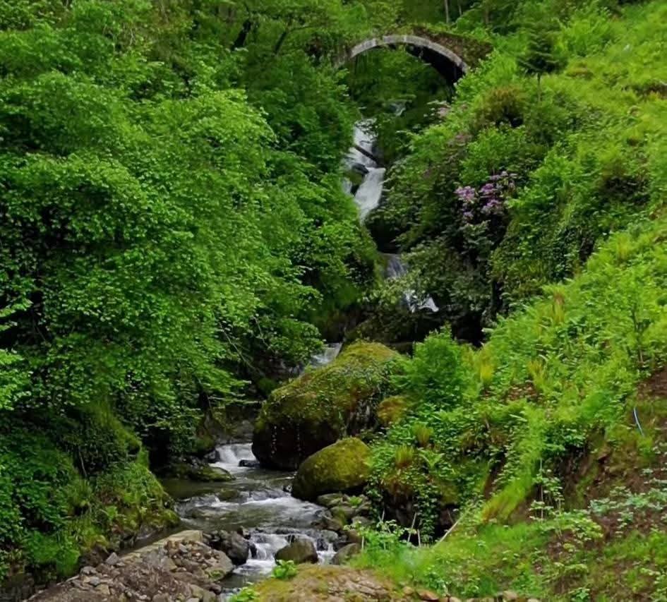 Şalpazarı’nda 200 yıllık tarih ilgi bekliyor Zeyneloğulları köprüsü turizme kazandırılmalı